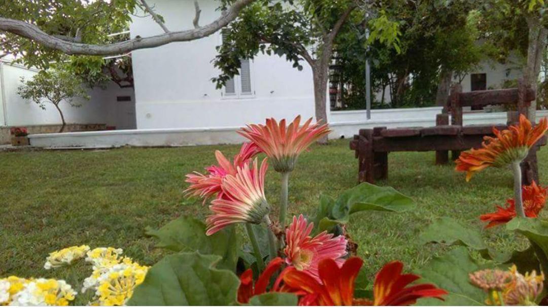 Borgo Fiore Country House 살리체 살렌티노 외부 사진